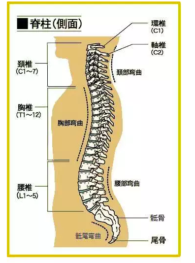 屏幕快照 2019-08-02 下午1.58.01.png