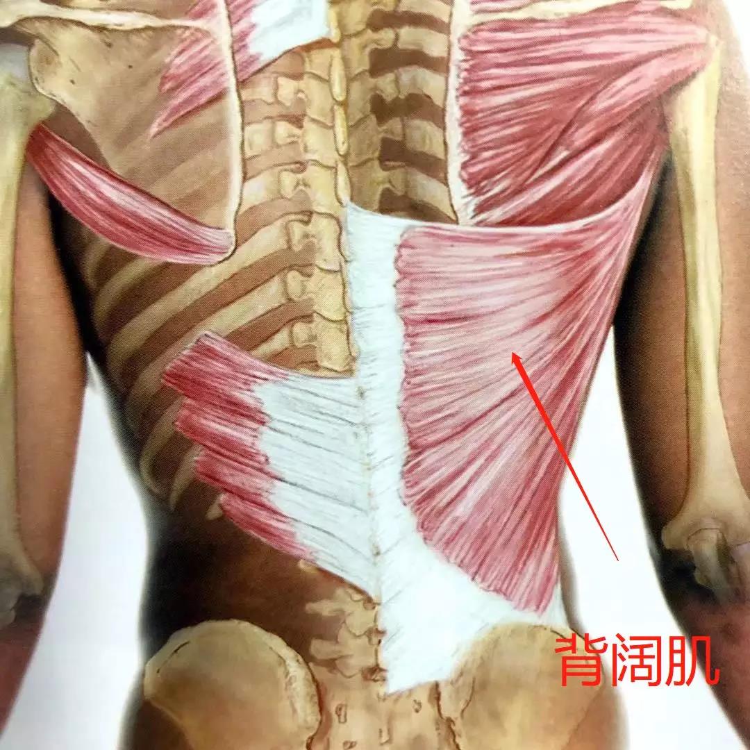 1574667276435494.jpg 微信图片_20191125153412.jpg
